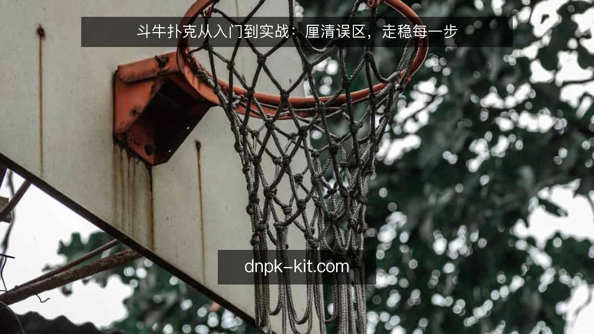 斗牛扑克从入门到实战：厘清误区，走稳每一步