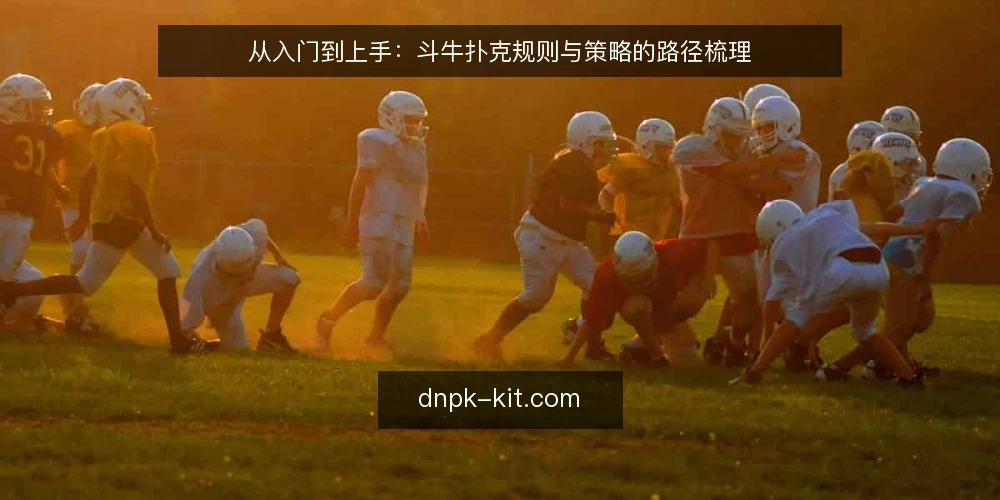 从入门到上手:斗牛扑克规则与策略的路径梳理 — 为什么现在需要重新审视你的斗牛扑克玩法 配图