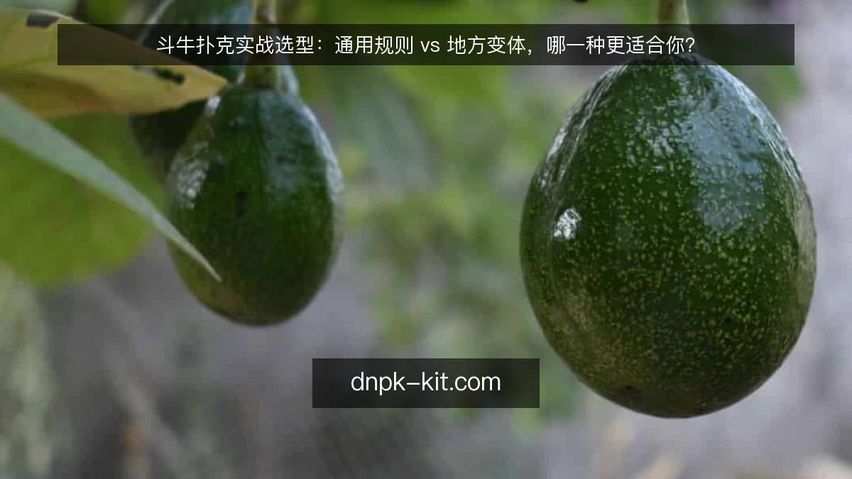 斗牛扑克实战选型：通用规则 vs 地方变体，哪一种更适合你？