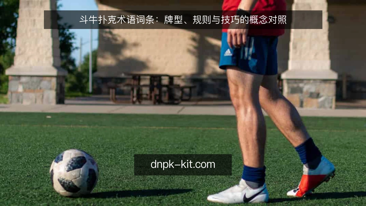 斗牛扑克术语词条:牌型、规则与技巧的概念对照