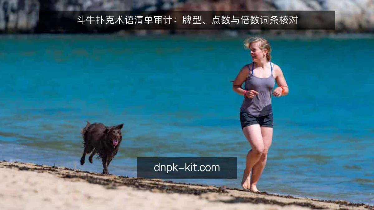 斗牛扑克术语清单审计：牌型、点数与倍数词条核对