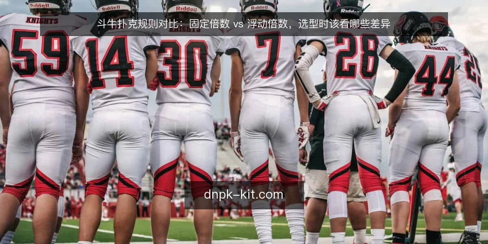 斗牛扑克规则对比：固定倍数 vs 浮动倍数，选型时该看哪些差异 — 先定评估标准：选规则前要问什么 配图
