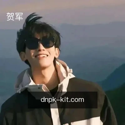 贺军