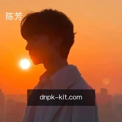 陈芳