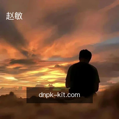 赵敏